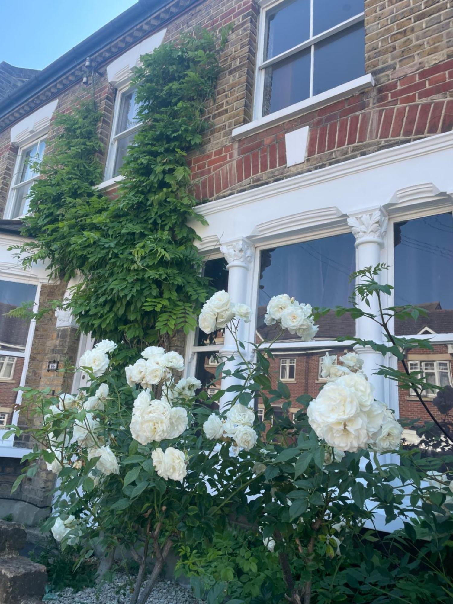 Traditional English 4 Bedroom Home In Greenwich Plumstead (Greater London) Exterior foto